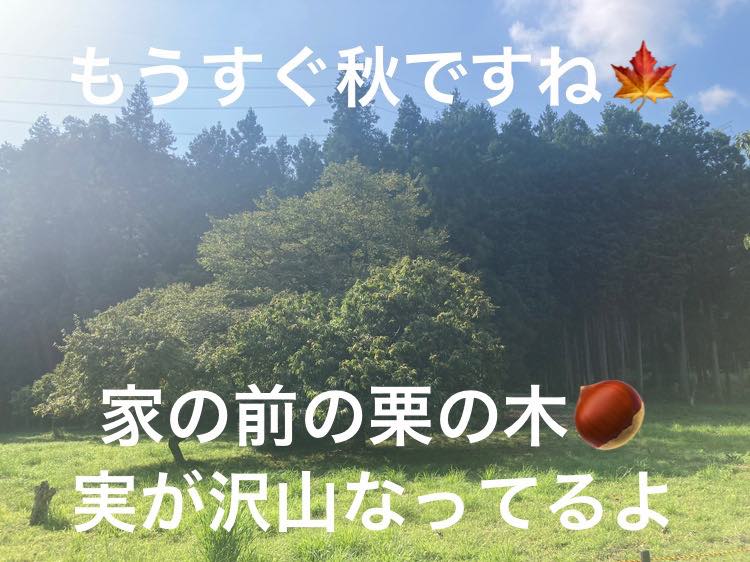 9月の営業について